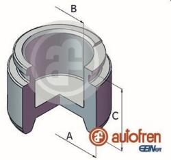 Autofren Seinsa Piest brzdového strmeňa AUTOFREN SEINSA D025318 (D025318)