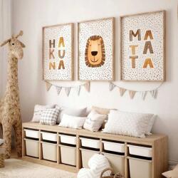 Shein fali poszter 3-pack SC1 akf 70X50 (sh2406130962396262)