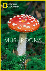 Disney Publishing Group Mushrooms Postcards | National Geographic