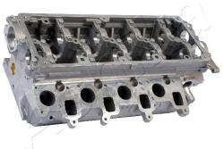 ASHIKA Hlava valcov motora ASHIKA VW10ES (VW10ES)