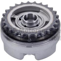 Kolbenschmidt Nastavovač vačkového hriadeľa KOLBENSCHMIDT 50056003 (50056003)