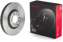 BREMBO Brzdový kotúč BREMBO 09. D209.11 (09.D209.11)
