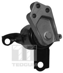 TEDGUM Uloženie, motor TEDGUM 00228507 (00228507)