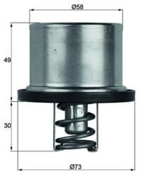 MAHLE Termostat chladenia MAHLE TX 37 79 (TX 37 79)