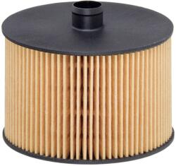 Hengst Filter Palivový filter HENGST FILTER E79KP D118 (E79KP D118)