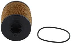 Bosch Olejový filter BOSCH F 026 407 322 (F 026 407 322)