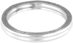 WALKER Tesnenie výfukovej trubky WALKER 80191 (80191)