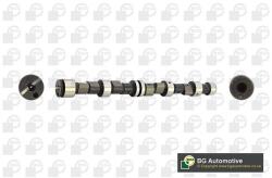 BGA Vačkový hriadeľ BGA CS6397 (CS6397)