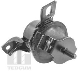 TEDGUM Uloženie, motor TEDGUM 00441120 (00441120)