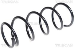 TRISCAN Pružina podvozku TRISCAN 8750 1498 (8750 1498)