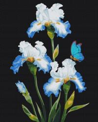 Brushme Festmény Számok Szerint Brushme 40X50 CM Íriszek (BR-BS53915)