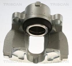 TRISCAN Brzdový strmeň TRISCAN 8175 82101 (8175 82101)