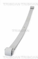 TRISCAN Sada pružin TRISCAN 8765 10006 (8765 10006)