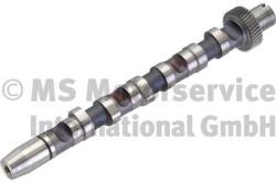 Kolbenschmidt Vačkový hriadeľ KOLBENSCHMIDT 50006300 (50006300)