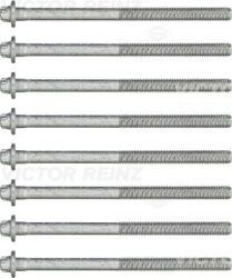 Victor Reinz Sada skrutiek hlavy valcov VICTOR REINZ 14-32215-01 (14-32215-01)