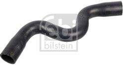 Febi Bilstein Hadica chladenia FEBI BILSTEIN 170983 (170983)