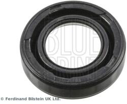 BLUE PRINT Tesniaci krúžok, šachta sviečky BLUE PRINT ADBP670017 (ADBP670017)