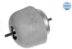 MEYLE Uloženie, motor MEYLE 100 199 0056 (100 199 0056)