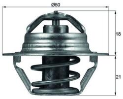 MAHLE Termostat chladenia MAHLE TX 100 89D (TX 100 89D)
