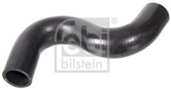 Febi Bilstein Hadica chladenia FEBI BILSTEIN 106179 (106179)