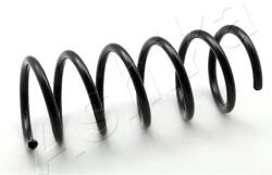 ASHIKA Pružina podvozku ASHIKA ZCA5596A (ZCA5596A)