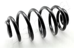 ASHIKA Pružina podvozku ASHIKA ZCA6217X (ZCA6217X)