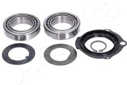 ASHIKA Súprava ložísk kolesa ASHIKA 44-10090 (44-10090)