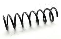 ASHIKA Pružina podvozku ASHIKA ZCA6655A (ZCA6655A)