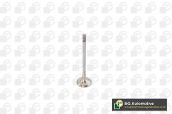 BGA Zawor Wydechowy (v142050)