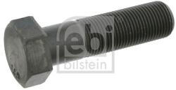 Febi Bilstein Skrutka remenice FEBI BILSTEIN 17230 (17230)
