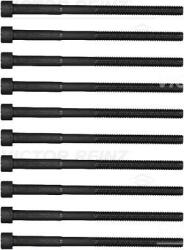 Victor Reinz Sada skrutiek hlavy valcov VICTOR REINZ 14-12343-01 (14-12343-01)