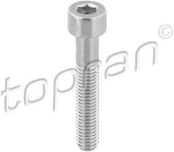 TOPRAN Skrutka brzdového strmeňa TOPRAN 110 708 (110 708)