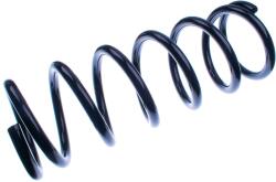 Denckermann Pružina podvozku DENCKERMANN D700257 (D700257)