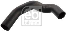 Febi Bilstein Hadica chladenia FEBI BILSTEIN 12095 (12095)