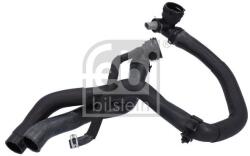 Febi Bilstein Hadica chladenia FEBI BILSTEIN 181756 (181756)