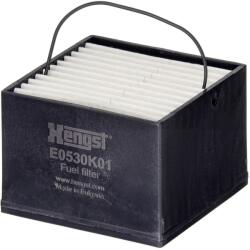 Hengst Filter Palivový filter HENGST FILTER E0530K01 (E0530K01)