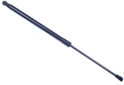 Denckermann Pneumatická pružina kufor/ložný priestor DENCKERMANN G110286 (G110286)