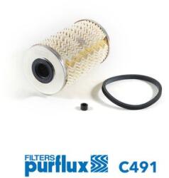 PURFLUX Palivový filter PURFLUX C491 (C491)
