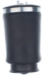 Denckermann Vzduchová pružina, podvozok DENCKERMANN DSA128G (DSA128G)