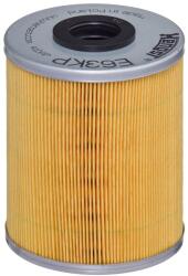Hengst Filter Palivový filter HENGST FILTER E63KP D78 (E63KP D78)