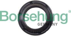 Borsehung Tesniaci krúžok hriadeľa, hriadeľ výsuvného ložiska Borsehung B17833 (B17833)
