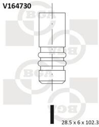 BGA Zawor Ssacy (v164730)