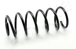 ASHIKA Pružina podvozku ASHIKA ZCA1119C (ZCA1119C)