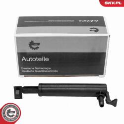 ESEN SKV Pneumatická pružina, odkladacia skrinka na rukavice ESEN SKV 96SKV417 (96SKV417)