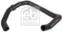 Febi Bilstein Hadica chladenia FEBI BILSTEIN 170961 (170961)