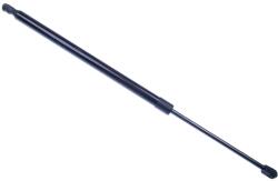 Denckermann Pneumatická pružina kufor/ložný priestor DENCKERMANN G110299 (G110299)