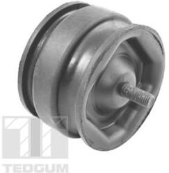 TEDGUM Uloženie, motor TEDGUM 00221175 (00221175)