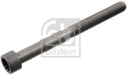 Febi Bilstein Skrutka hriadeľa vahadla FEBI BILSTEIN 100726 (100726)