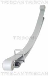 TRISCAN Sada pružin TRISCAN 8765 10011 (8765 10011)