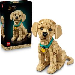 LEGO® ICONS™ - Golden retriever kutyus (11384)
